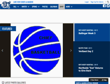 Tablet Screenshot of golakeviewsports.com